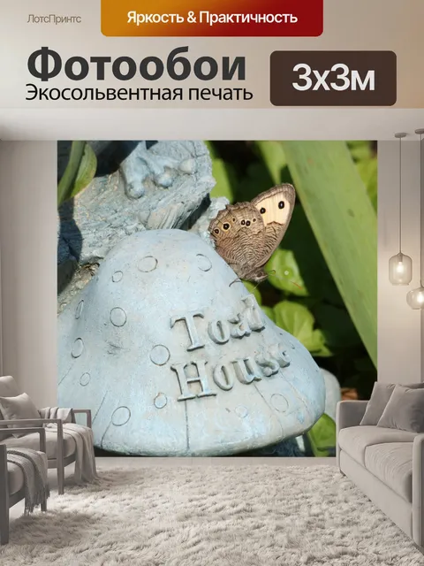 Фотообои Бабочка Лесная нимфа на Доме жаб