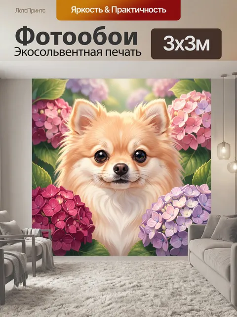 Фотообои Шпиц среди цветущих гортензий