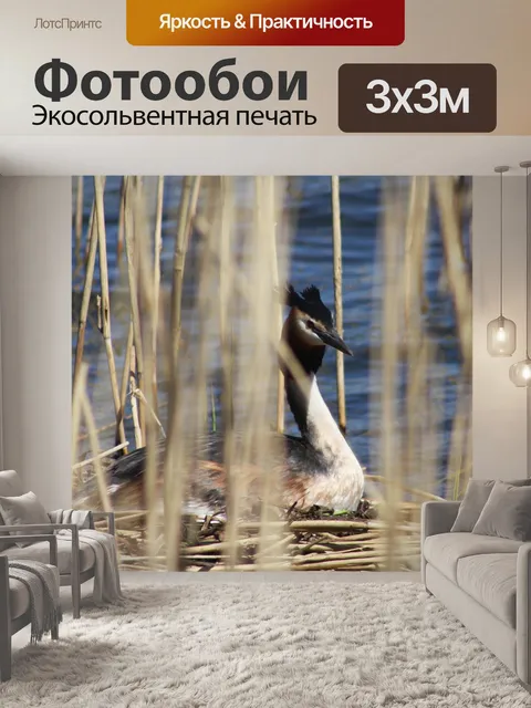 Фотообои Природа