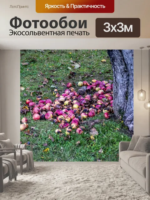 Фотообои яблоки