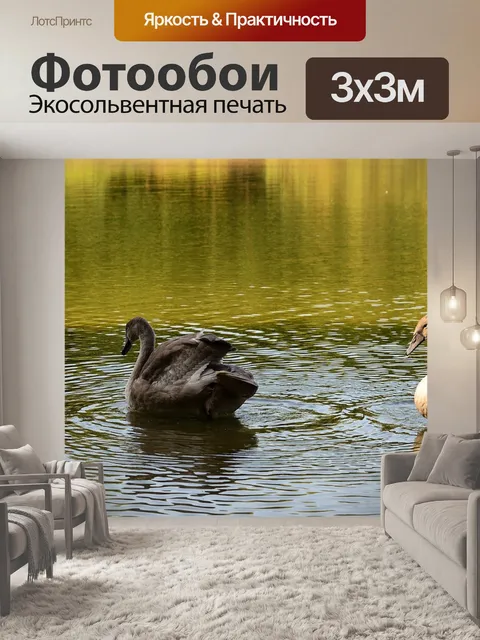 Фотообои Лебеди