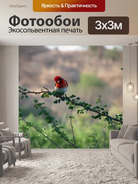 Фотообои Птица