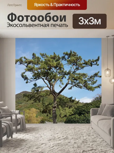 Фотообои Гора