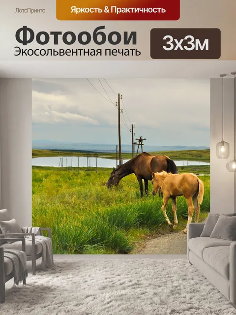 Фотообои Лошади на дороге