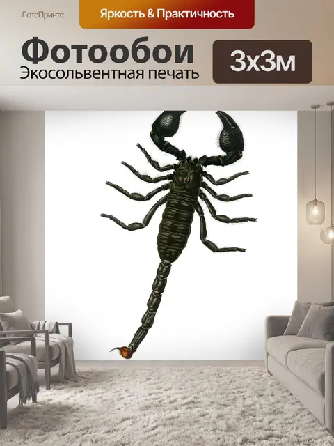 Фотообои Клипарт Scorpio vintage art