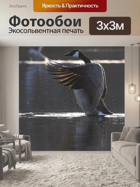 Фотообои Гусь