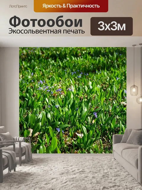 Фотообои Голубая звезда