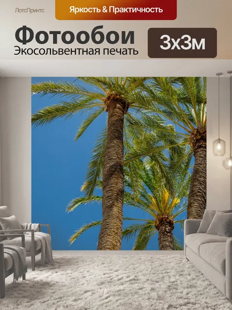 Фотообои Пальмы и голубое небо