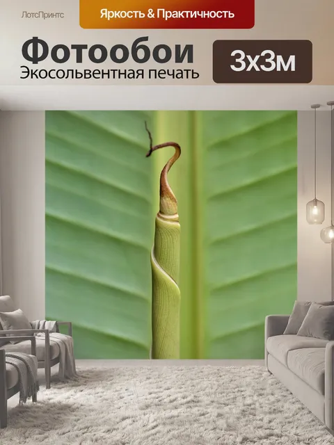 Фотообои Банановый лист