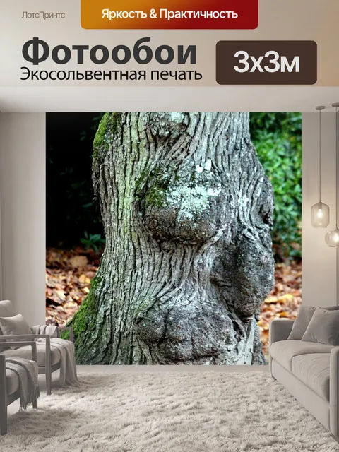 Фотообои Дерево