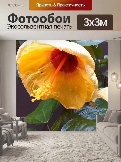 Фотообои Желтый гибискус