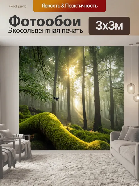 Фотообои покрытый утренним туманом