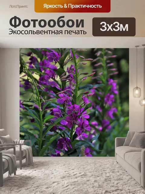 Фотообои В лесу