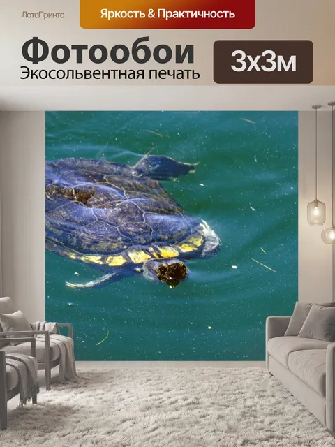 Фотообои черепаха