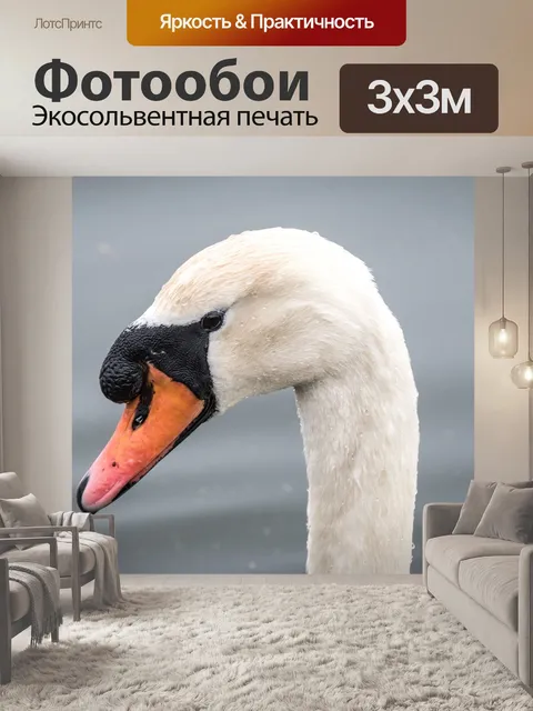 Фотообои Белый