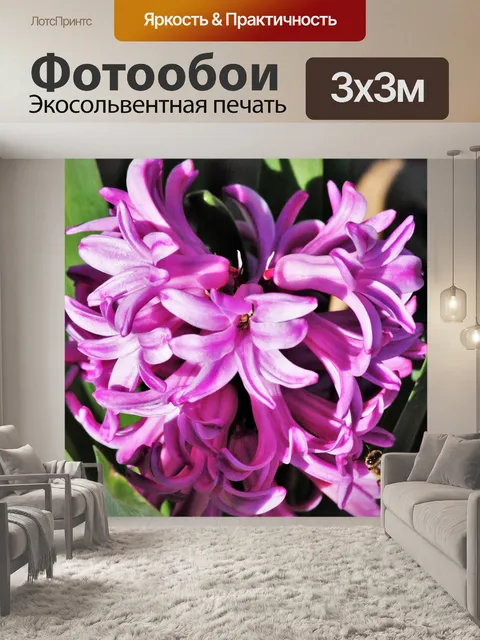 Фотообои Розовый гиацинт и пчела