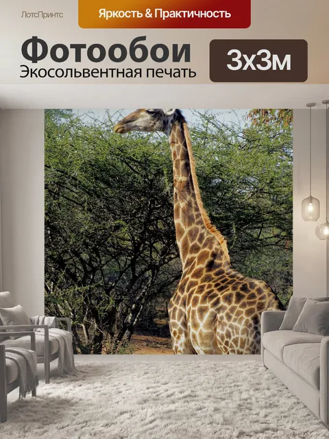 Фотообои Африка