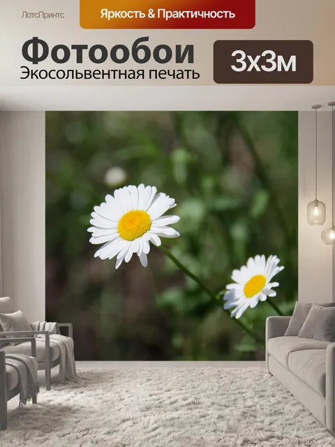 Фотообои Ромашки