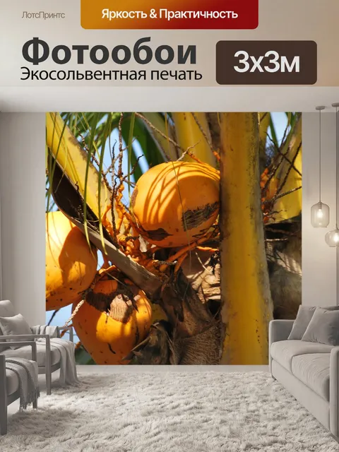 Фотообои Кокос