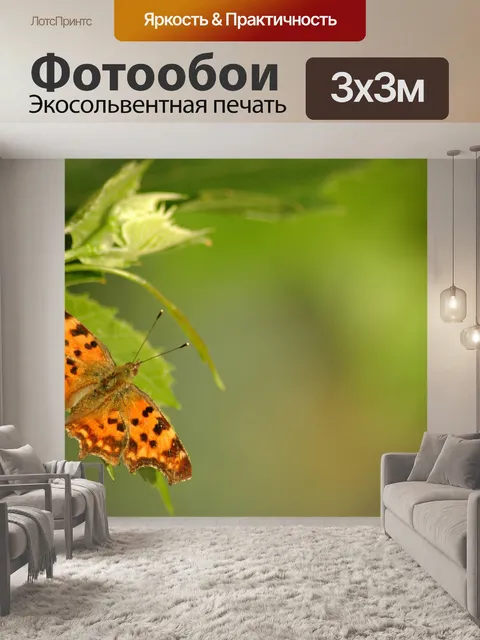 Фотообои Бабочка