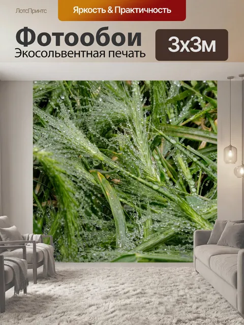 Фотообои Трава после дождя