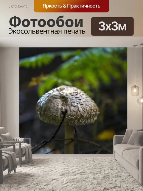 Фотообои Маленькие грибы