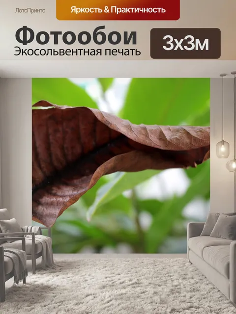 Фотообои Сухой коричневый сухой осенний лист