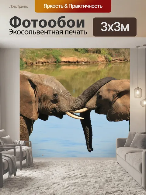 Фотообои Слон