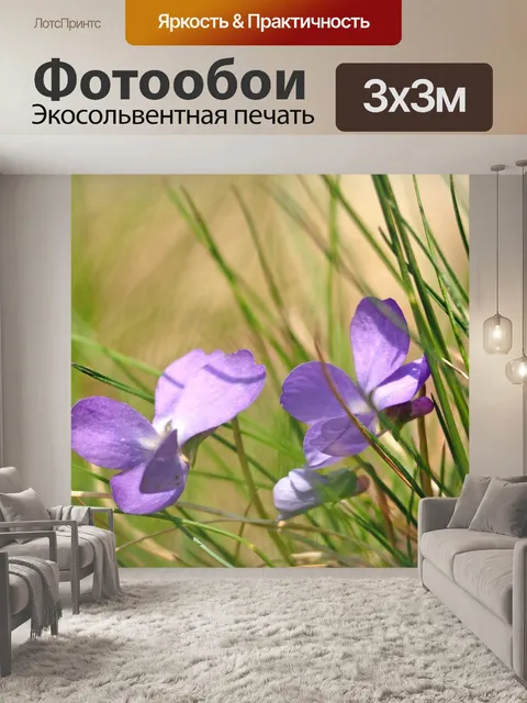 Фотообои Фиолетовый