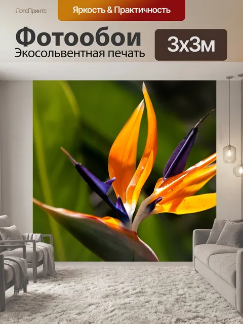 Фотообои Цветок