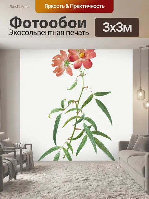 Фотообои Винтажная иллюстрация розового цветка