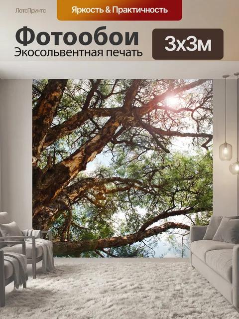 Фотообои шип из бумажной коры и блики от линз
