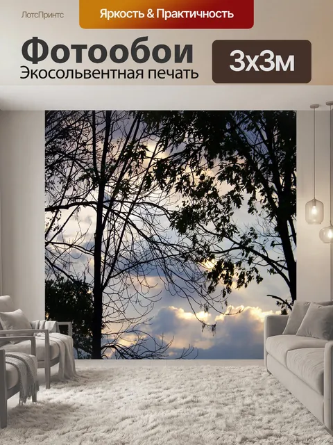 Фотообои Деревья и облака на рассвете