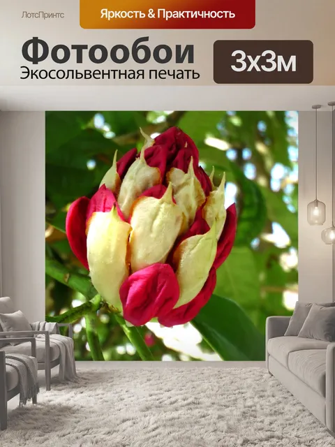 Фотообои Дерево бутон цветка