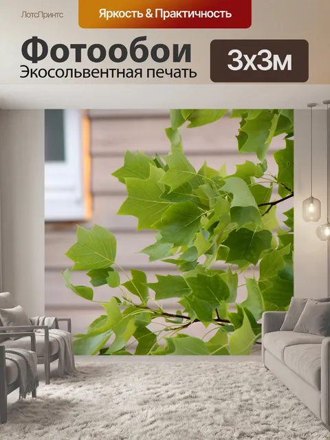 Фотообои Листья