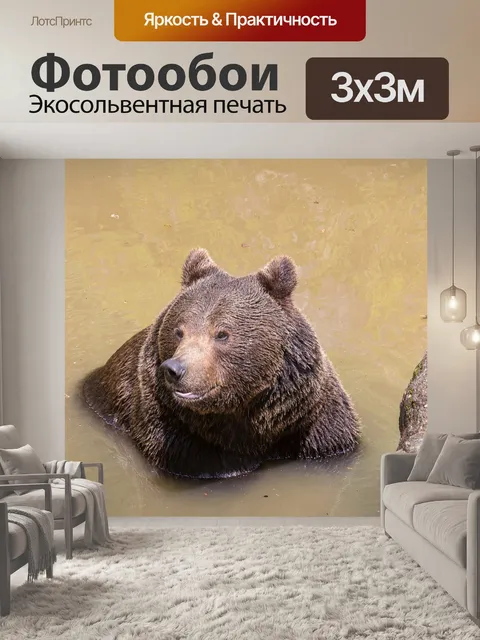 Фотообои Бурый медведь
