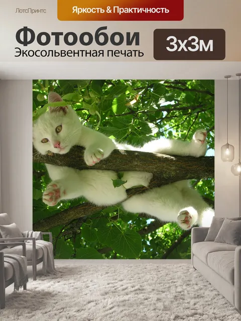 Фотообои Кот
