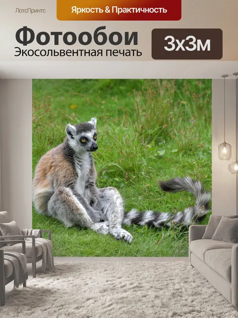 Фотообои Лемур