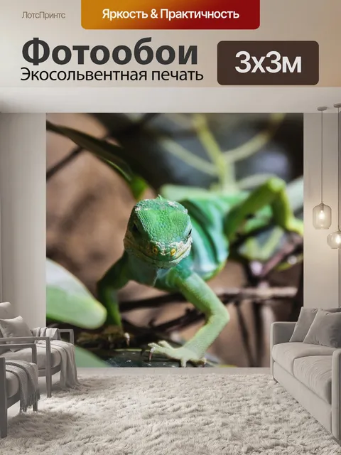 Фотообои Дерево монитор