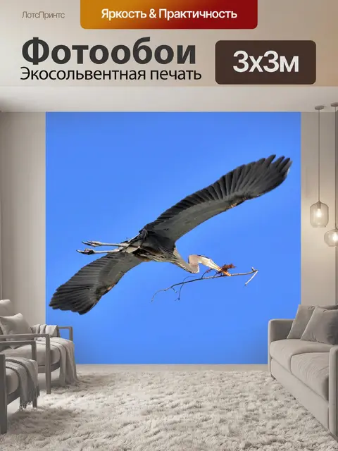 Фотообои Большая голубая цапля