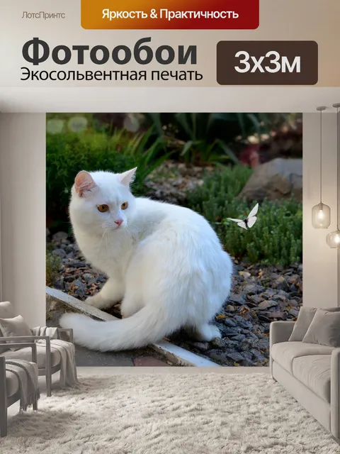 Фотообои Кот