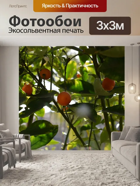 Фотообои Цитрусовое дерево