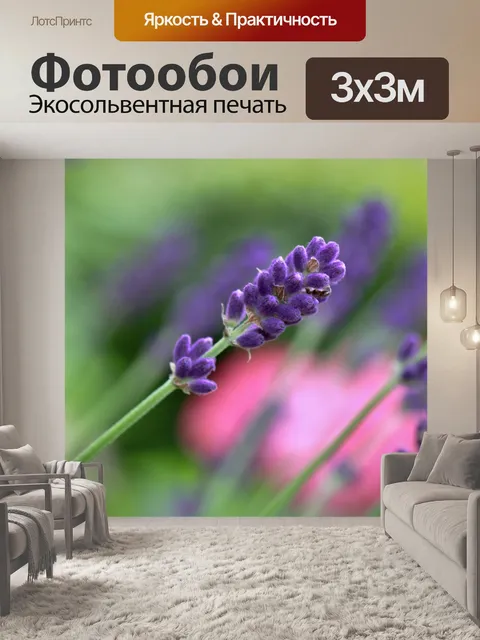 Фотообои Цветок лаванды