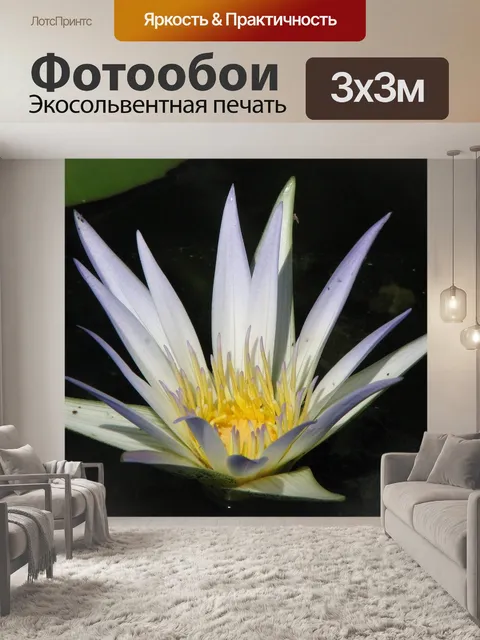 Фотообои Водяная лилия