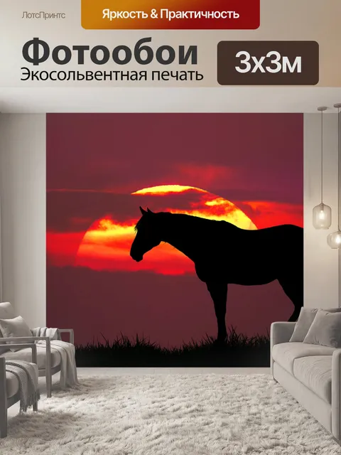 Фотообои Лошадь закат луговая природа