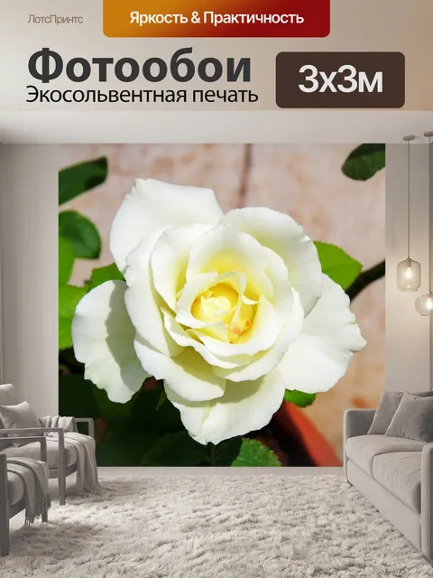 Фотообои Просто розы