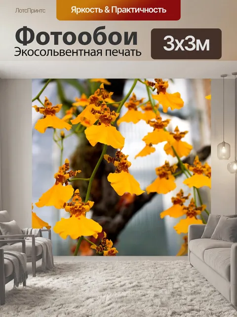 Фотообои Орхидея
