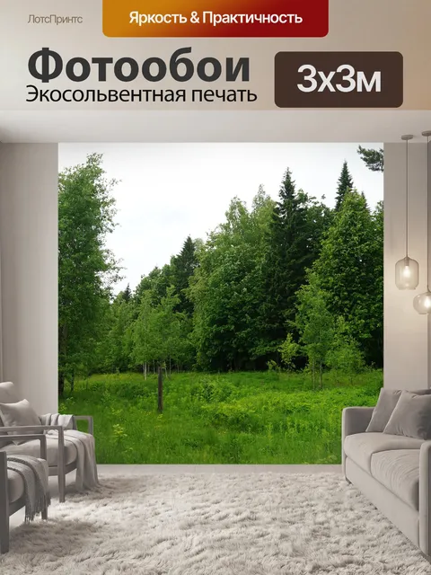Фотообои Лес