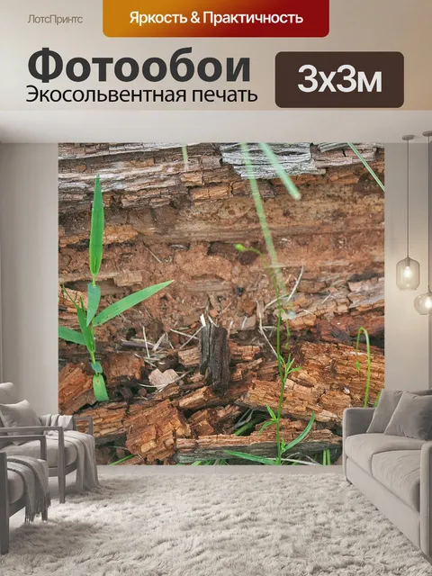 Фотообои гниющая древесина с зеленой травой