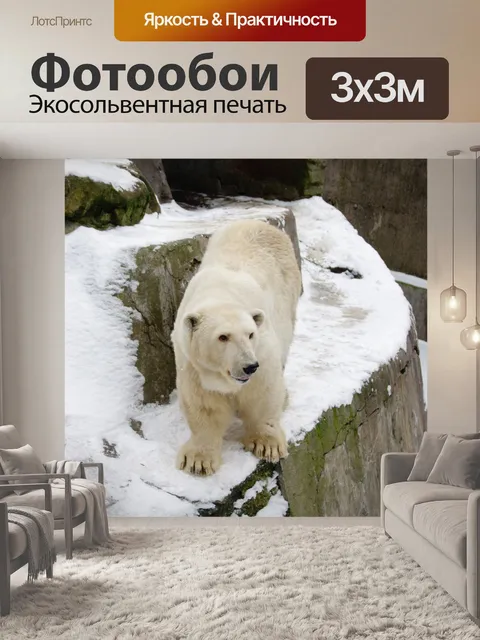 Фотообои Белый медведь
